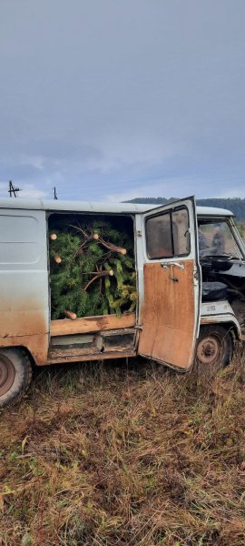 В Удмуртии полицейскими задержаны 